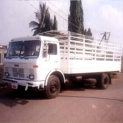 cargo6